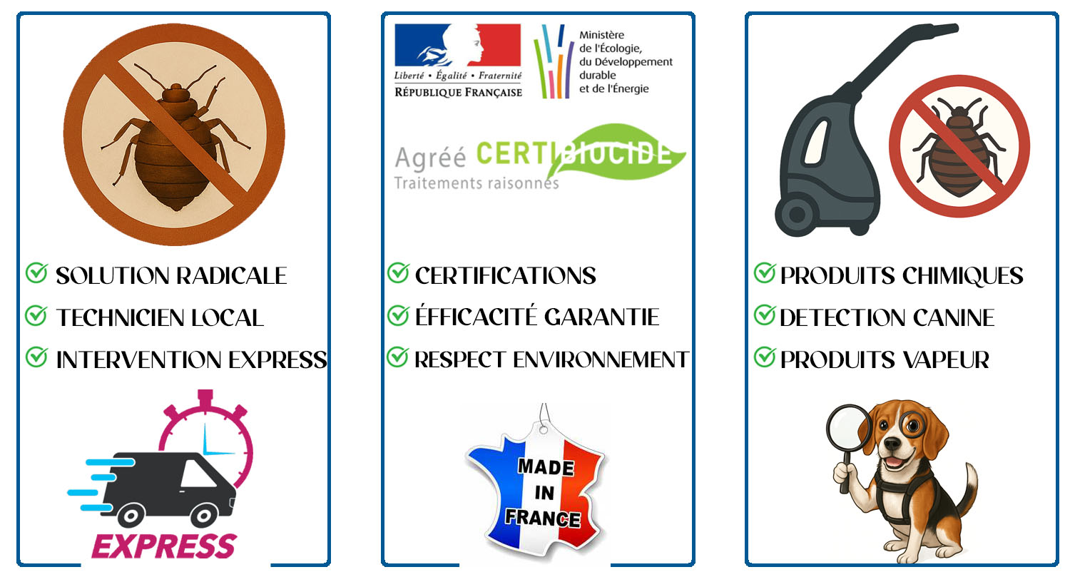 Punaises de Lit Isle Adam